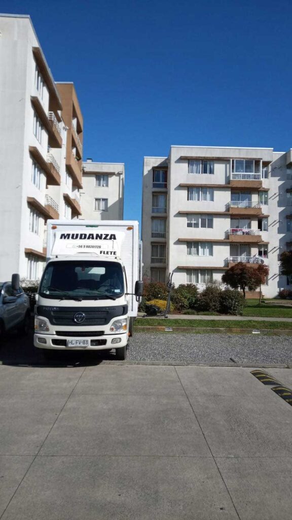 Mudanzas Valdivia